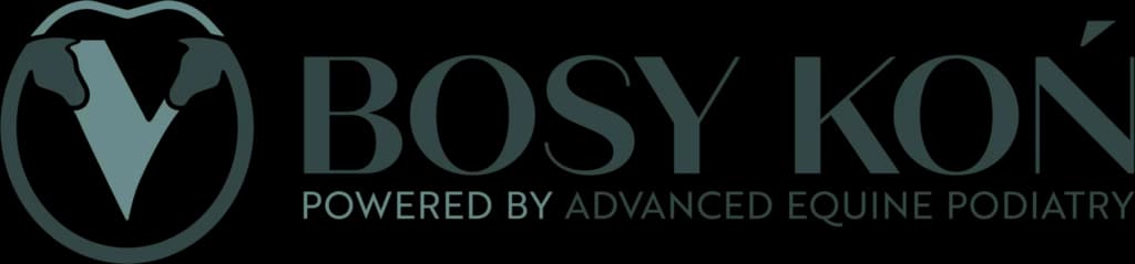 BosyKon