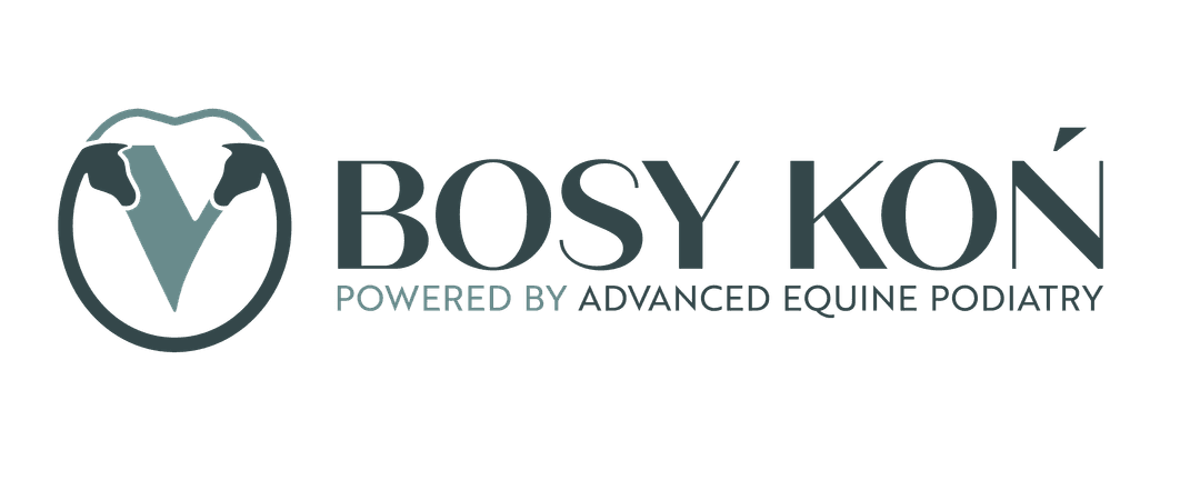 BosyKon